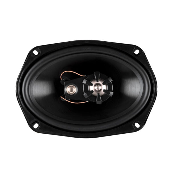 Коаксиальные динамики Aspect WLS-693
