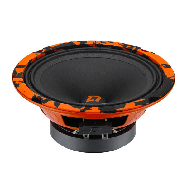 Эстрадная акустика DL-AUDIO Barracuda 165