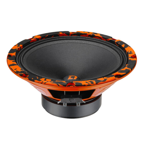 Эстрадная акустика DL-AUDIO Barracuda 200