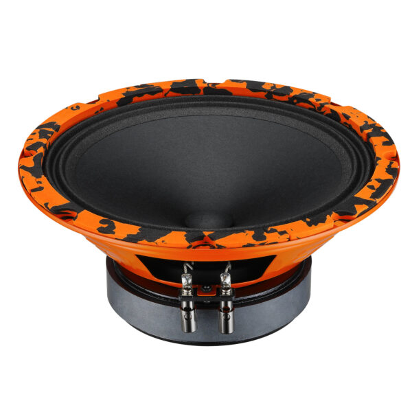 Эстрадная акустика DL-AUDIO Gryphon Pro 200